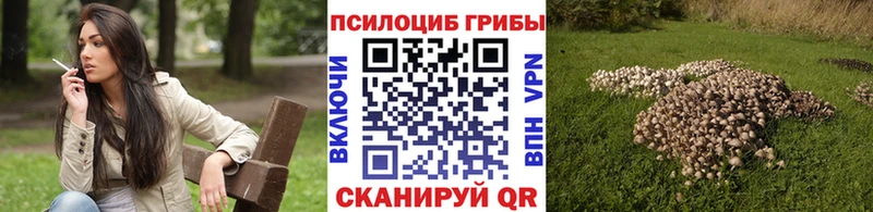 закладки Байкальск Псилоцибиновые грибы прущие грибы